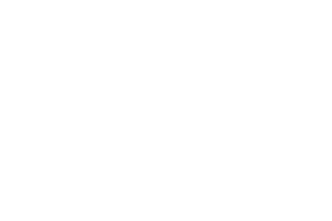 Prince Foundation
